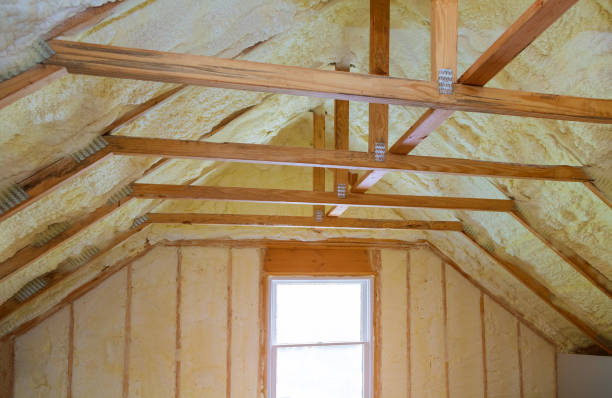 Professional Insulation Contractor in Bonham, TX